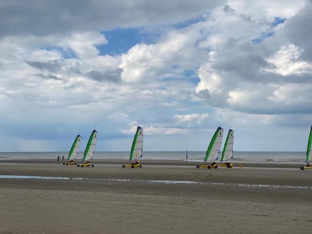 Depannemarkt De Panne Exteriér fotografie