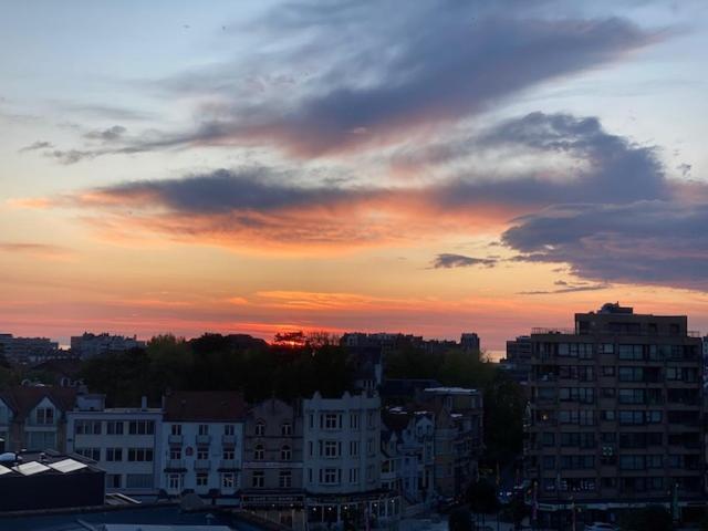 Depannemarkt De Panne Exteriér fotografie