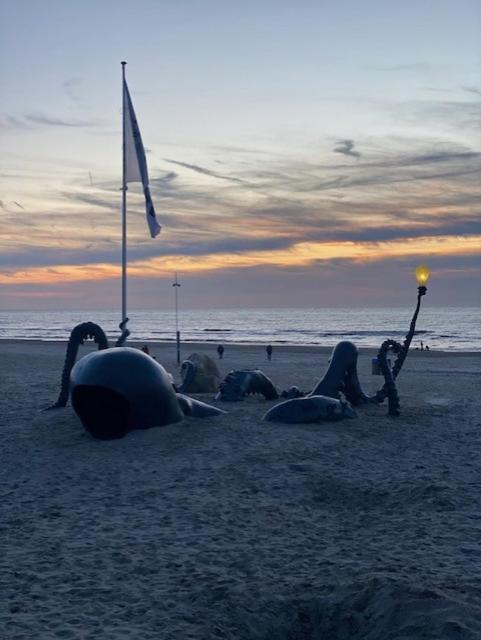 Depannemarkt De Panne Exteriér fotografie
